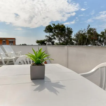 Apartment Jaga